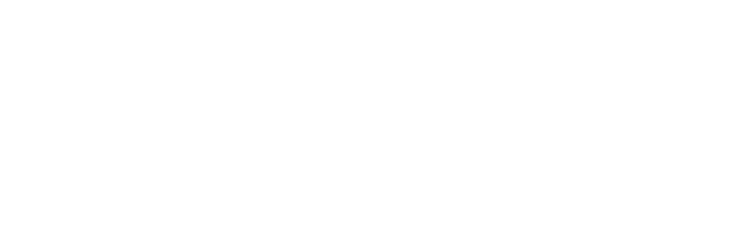 By Accident Solutions — Software Development Studio